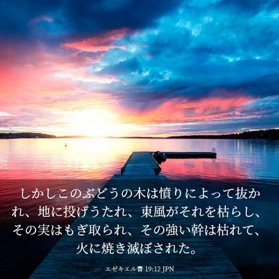 Picture 03 - エゼキエル書 19:12 JPN - しかしこのぶどうの木は憤りによっ - Bible Verse Picture