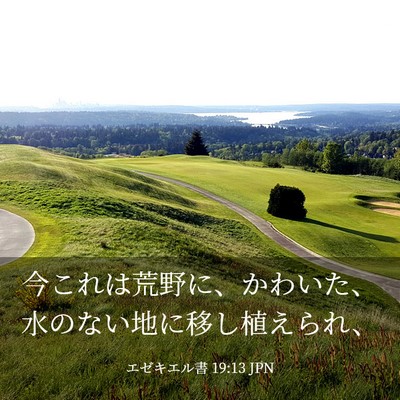 Picture 03 - エゼキエル書 19:13 JPN - 今これは荒野に、かわいた、水のな - Bible Verse Picture