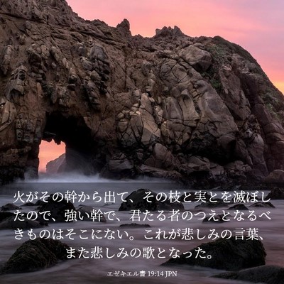 Picture 03 - エゼキエル書 19:14 JPN - 火がその幹から出て、その枝と実と - Bible Verse Picture