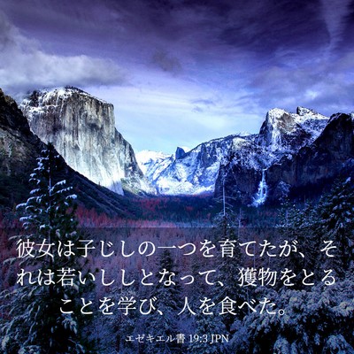 Picture 03 - エゼキエル書 19:3 JPN - 彼女は子じしの一つを育てたが、そ - Bible Verse Picture
