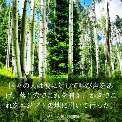 Picture 03 - エゼキエル書 19:4 JPN - 国々の人は彼に対して叫び声をあげ - Bible Verse Picture