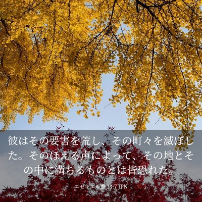 Picture 03 - エゼキエル書 19:7 JPN - 彼はその要害を荒し、その町々を滅 - Bible Verse Picture