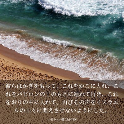 Picture 03 - エゼキエル書 19:9 JPN - 彼らはかぎをもって、これをかごに - Bible Verse Picture