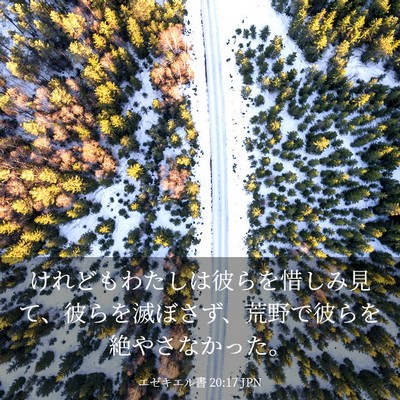 Picture 03 - エゼキエル書 20:17 JPN - けれどもわたしは彼らを惜しみ見て - Bible Verse Picture