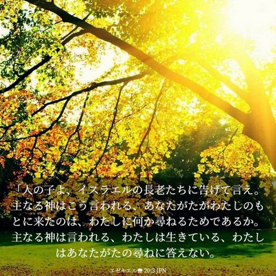 Picture 03 - エゼキエル書 20:3 JPN - 「人の子よ、イスラエルの長老たち - Bible Verse Picture