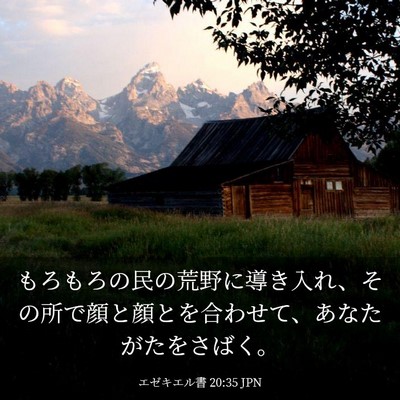 Picture 03 - エゼキエル書 20:35 JPN - もろもろの民の荒野に導き入れ、そ - Bible Verse Picture