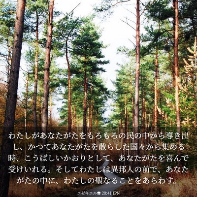 Picture 03 - エゼキエル書 20:41 JPN - わたしがあなたがたをもろもろの民 - Bible Verse Picture