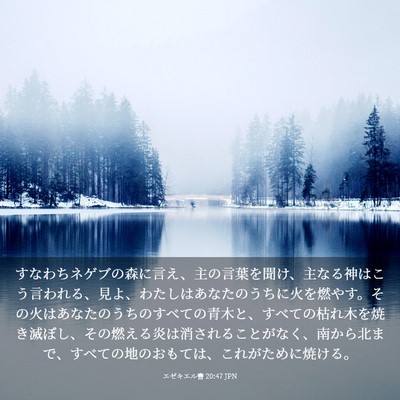 Picture 03 - エゼキエル書 20:47 JPN - すなわちネゲブの森に言え、主の言 - Bible Verse Picture