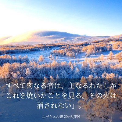 Picture 03 - エゼキエル書 20:48 JPN - すべて肉なる者は、主なるわたしが - Bible Verse Picture
