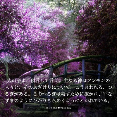 Picture 03 - エゼキエル書 21:28 JPN - 人の子よ、預言して言え。主なる神 - Bible Verse Picture