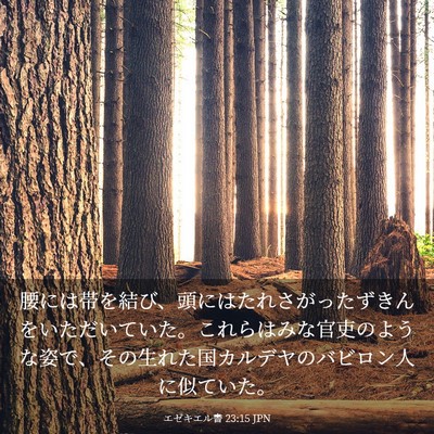 Picture 03 - エゼキエル書 23:15 JPN - 腰には帯を結び、頭にはたれさがっ - Bible Verse Picture