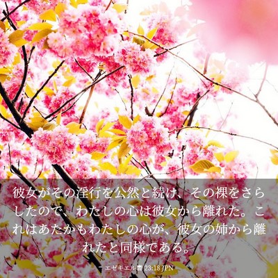 Picture 03 - エゼキエル書 23:18 JPN - 彼女がその淫行を公然と続け、その - Bible Verse Picture