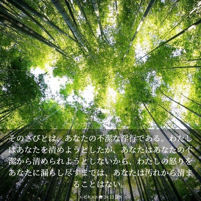 Picture 03 - エゼキエル書 24:13 JPN - そのさびとは、あなたの不潔な淫行 - Bible Verse Picture