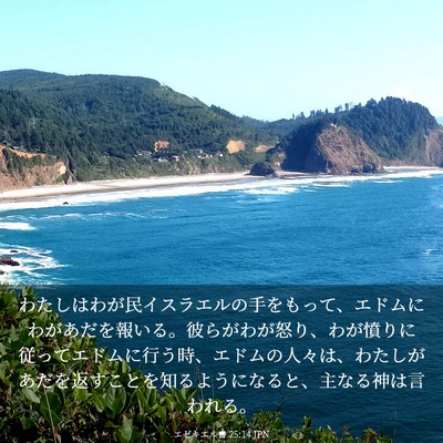 Picture 03 - エゼキエル書 25:14 JPN - わたしはわが民イスラエルの手をも - Bible Verse Picture