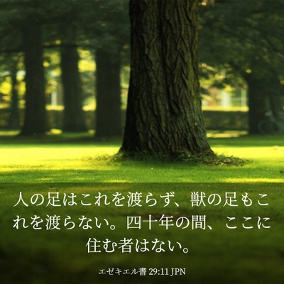 Picture 03 - エゼキエル書 29:11 JPN - 人の足はこれを渡らず、獣の足もこ - Bible Verse Picture