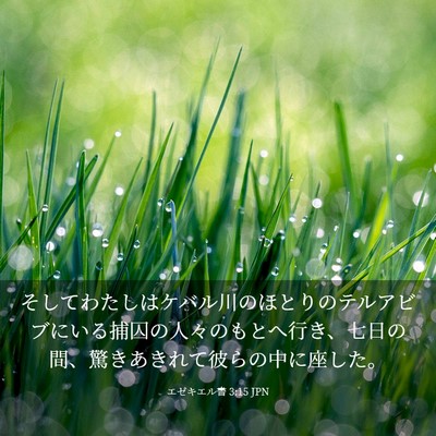 Picture 03 - エゼキエル書 3:15 JPN - そしてわたしはケバル川のほとりの - Bible Verse Picture