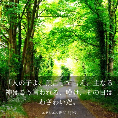 Picture 03 - エゼキエル書 30:2 JPN - 「人の子よ、預言して言え、主なる - Bible Verse Picture