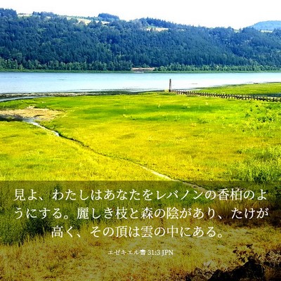 Picture 03 - エゼキエル書 31:3 JPN - 見よ、わたしはあなたをレバノンの - Bible Verse Picture