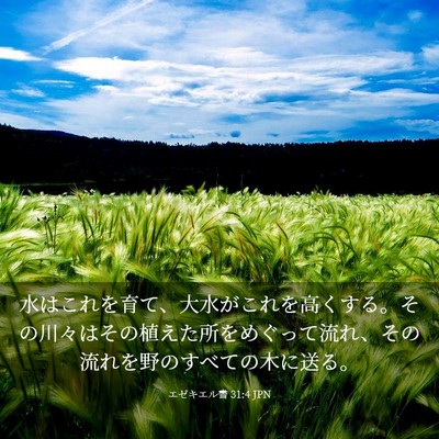 Picture 03 - エゼキエル書 31:4 JPN - 水はこれを育て、大水がこれを高く - Bible Verse Picture