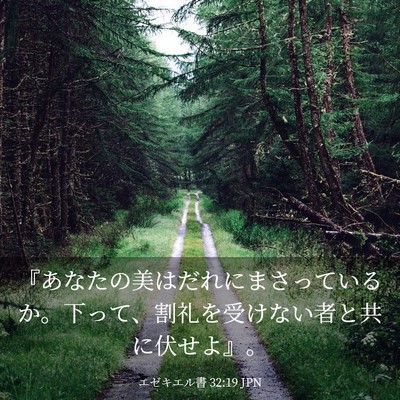 Picture 03 - エゼキエル書 32:19 JPN - 『あなたの美はだれにまさっている - Bible Verse Picture