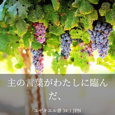 Picture 03 - エゼキエル書 34:1 JPN - 主の言葉がわたしに臨んだ、 - Bible Verse Picture