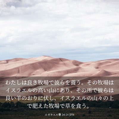 Picture 03 - エゼキエル書 34:14 JPN - わたしは良き牧場で彼らを養う。そ - Bible Verse Picture