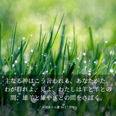 Picture 03 - エゼキエル書 34:17 JPN - 主なる神はこう言われる、あなたが - Bible Verse Picture