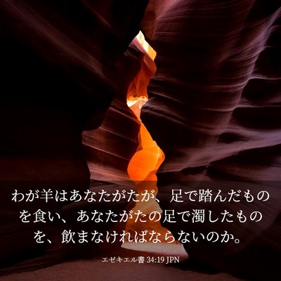 Picture 03 - エゼキエル書 34:19 JPN - わが羊はあなたがたが、足で踏んだ - Bible Verse Picture