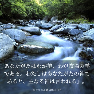 Picture 03 - エゼキエル書 34:31 JPN - あなたがたはわが羊、わが牧場の羊 - Bible Verse Picture