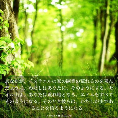 Picture 03 - エゼキエル書 35:15 JPN - あなたが、イスラエルの家の嗣業の - Bible Verse Picture