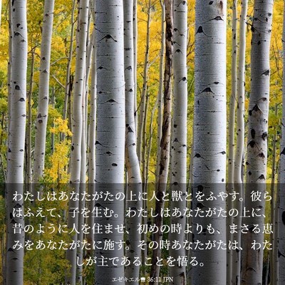 Picture 03 - エゼキエル書 36:11 JPN - わたしはあなたがたの上に人と獣と - Bible Verse Picture