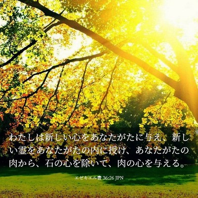 Picture 03 - エゼキエル書 36:26 JPN - わたしは新しい心をあなたがたに与 - Bible Verse Picture