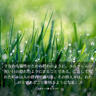 Picture 03 - エゼキエル書 36:38 JPN - すなわち犠牲のための群れのように - Bible Verse Picture