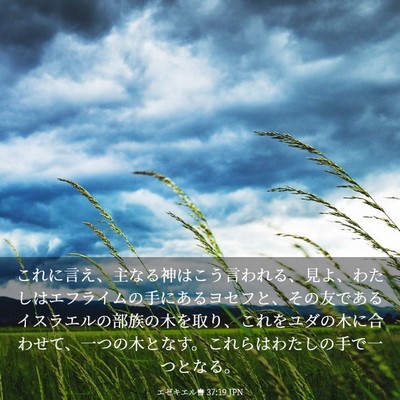 Picture 03 - エゼキエル書 37:19 JPN - これに言え、主なる神はこう言われ - Bible Verse Picture