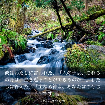 Picture 03 - エゼキエル書 37:3 JPN - 彼はわたしに言われた、「人の子よ - Bible Verse Picture