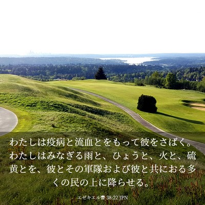 Picture 03 - エゼキエル書 38:22 JPN - わたしは疫病と流血とをもって彼を - Bible Verse Picture