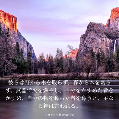 Picture 03 - エゼキエル書 39:10 JPN - 彼らは野から木を取らず、森から木 - Bible Verse Picture