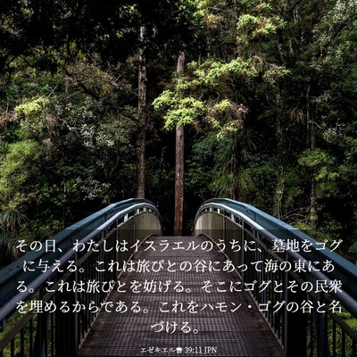 Picture 03 - エゼキエル書 39:11 JPN - その日、わたしはイスラエルのうち - Bible Verse Picture