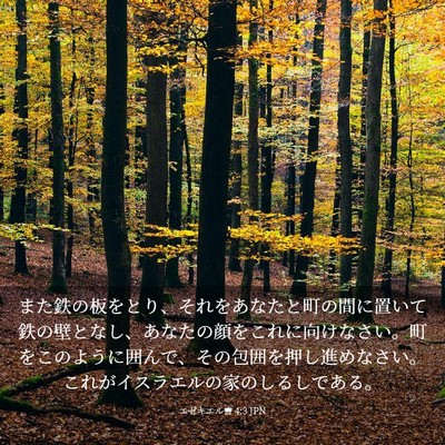 Picture 03 - エゼキエル書 4:3 JPN - また鉄の板をとり、それをあなたと - Bible Verse Picture