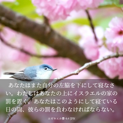 Picture 03 - エゼキエル書 4:4 JPN - あなたはまた自分の左脇を下にして - Bible Verse Picture