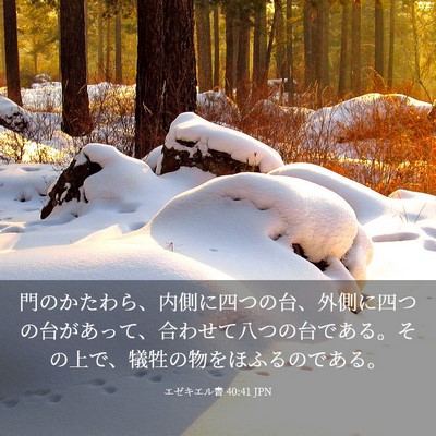 Picture 03 - エゼキエル書 40:41 JPN - 門のかたわら、内側に四つの台、外 - Bible Verse Picture