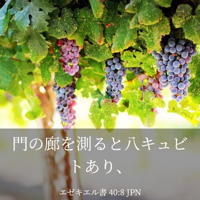 Picture 03 - エゼキエル書 40:8 JPN - 門の廊を測ると八キュビトあり、 - Bible Verse Picture