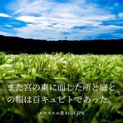 Picture 03 - エゼキエル書 41:14 JPN - また宮の東に面した所と庭との幅は - Bible Verse Picture