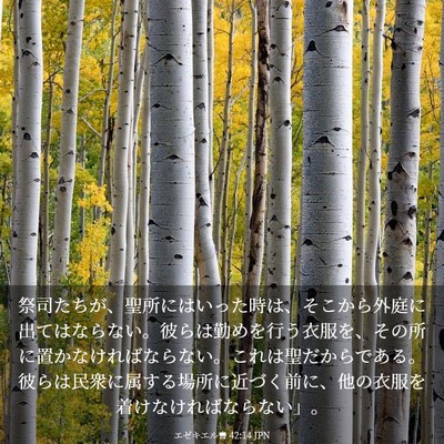 Picture 03 - エゼキエル書 42:14 JPN - 祭司たちが、聖所にはいった時は、 - Bible Verse Picture