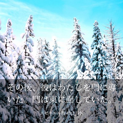 Picture 03 - エゼキエル書 43:1 JPN - その後、彼はわたしを門に導いた。 - Bible Verse Picture