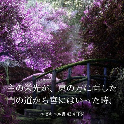 Picture 03 - エゼキエル書 43:4 JPN - 主の栄光が、東の方に面した門の道 - Bible Verse Picture