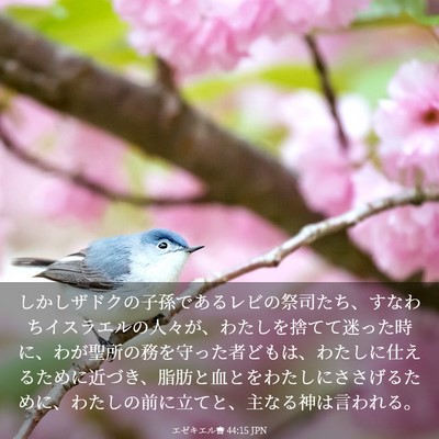 Picture 03 - エゼキエル書 44:15 JPN - しかしザドクの子孫であるレビの祭 - Bible Verse Picture