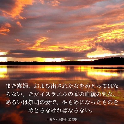 Picture 03 - エゼキエル書 44:22 JPN - また寡婦、および出された女をめと - Bible Verse Picture