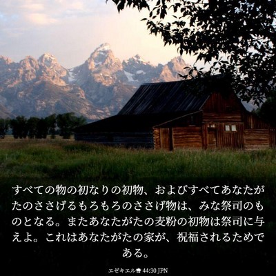 Picture 03 - エゼキエル書 44:30 JPN - すべての物の初なりの初物、および - Bible Verse Picture