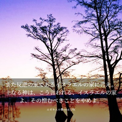 Picture 03 - エゼキエル書 44:6 JPN - また反逆の家であるイスラエルの家 - Bible Verse Picture